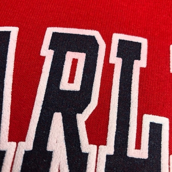 Gildan "Charlevoix" Hoodie - Youth Size Large - Picture 5 of 9